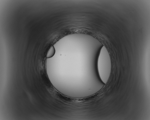 X0000086020607200703230934