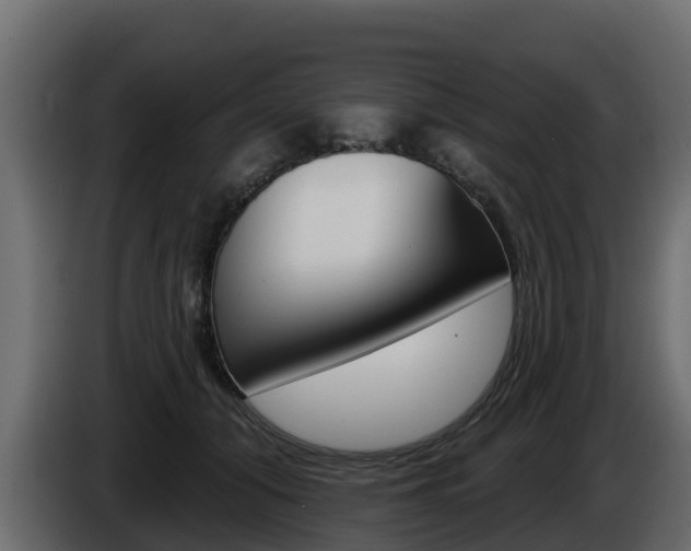X0000086020608200703230934