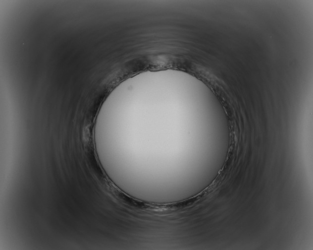X0000086020611200703230934