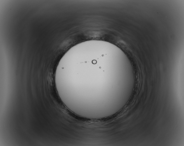 X0000086020612200703230934