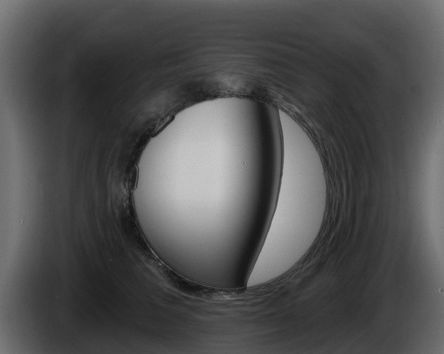 X0000086020613200703230934