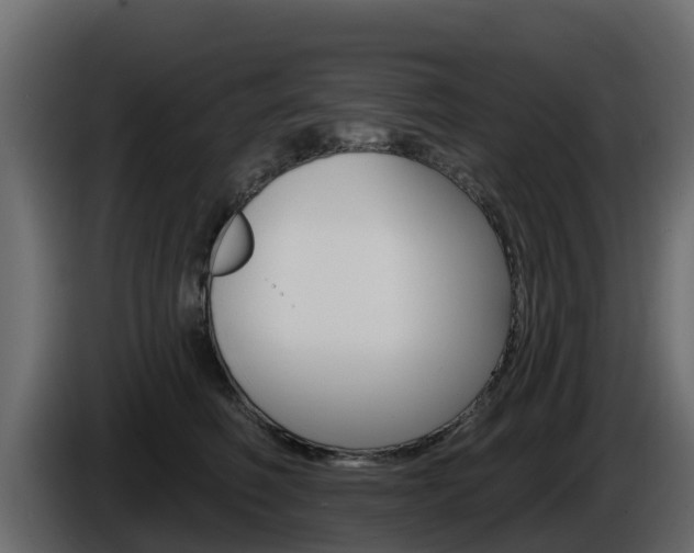 X0000086020614200703230934