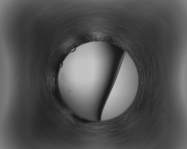 X0000086020615200703230934