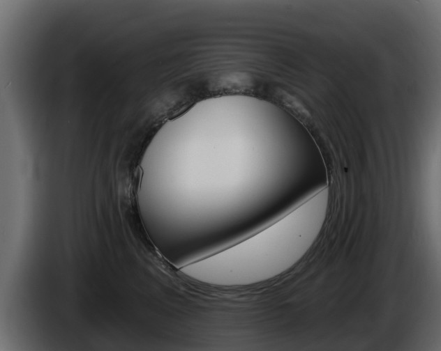 X0000086020617200703230934