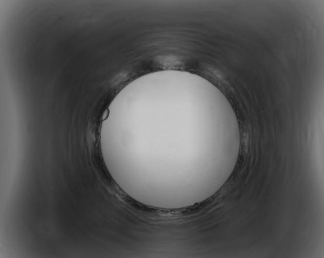 X0000086020618200703230934