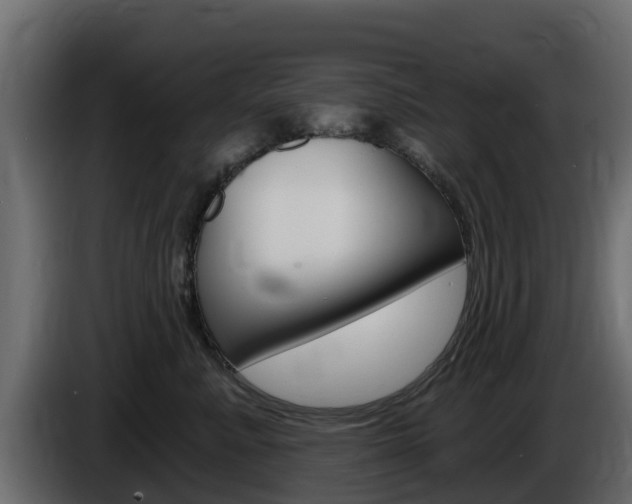 X0000086020619200703230934