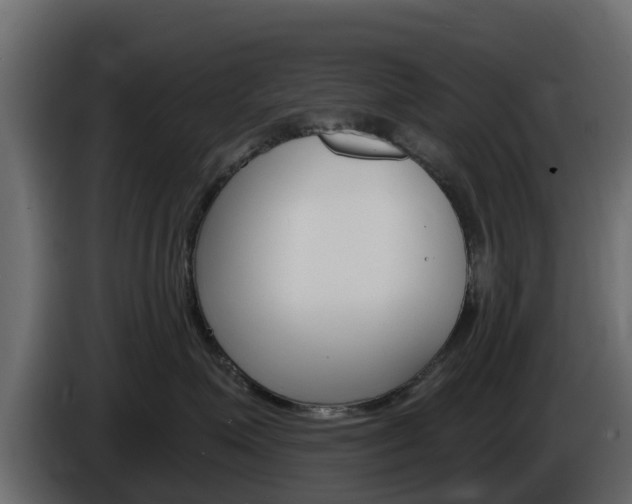 X0000086020623200703230934