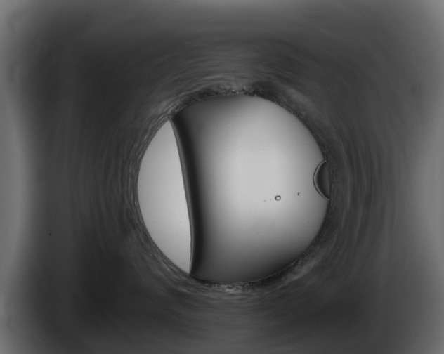 X0000086020624200703230934