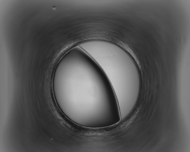 X0000086020625200703230933