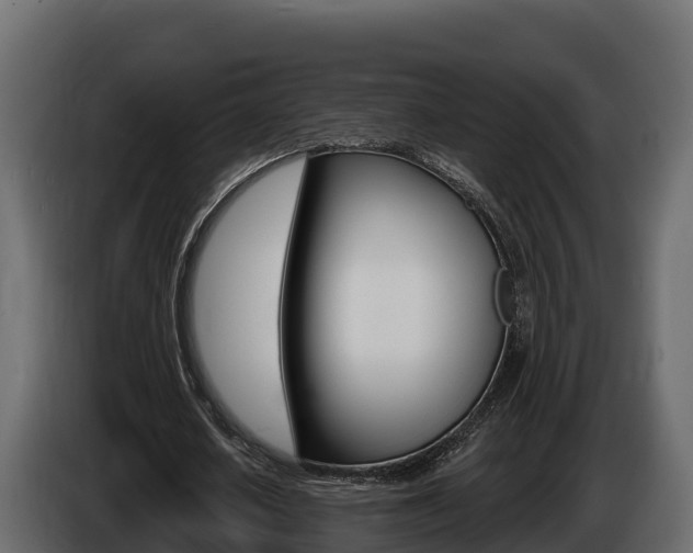X0000086020626200703230933