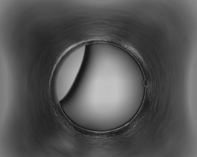 X0000086020628200703230933