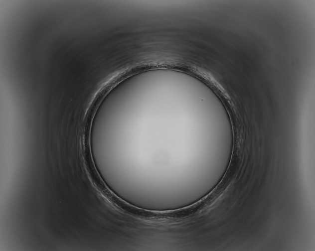 X0000086020629200703230933