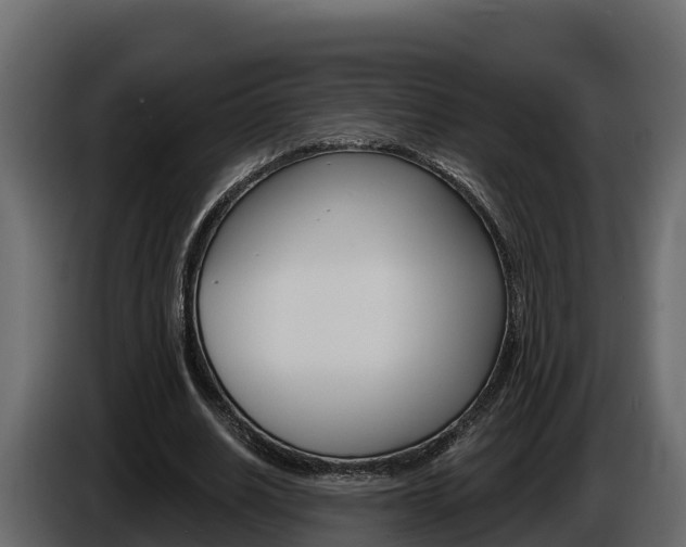 X0000086020630200703230933
