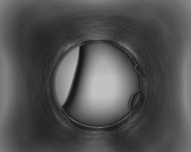 X0000086020631200703230933