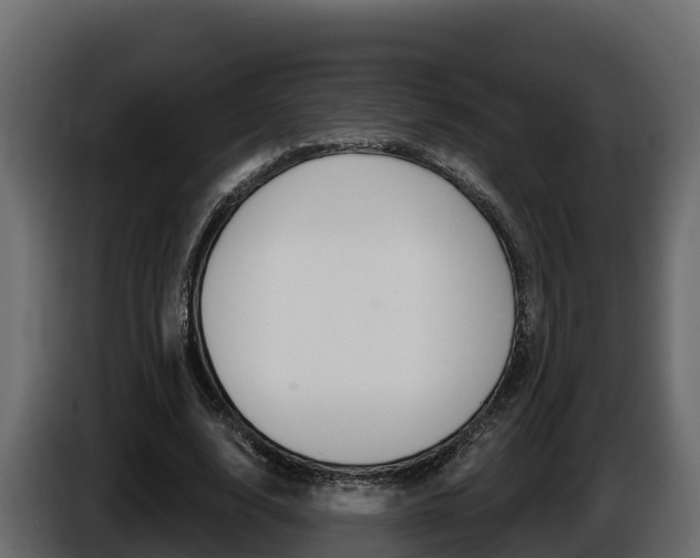 X0000086020632200703230933