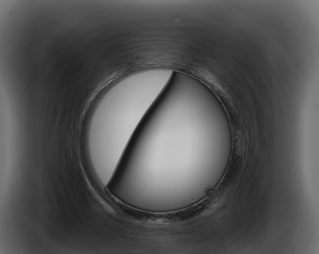 X0000086020634200703230933