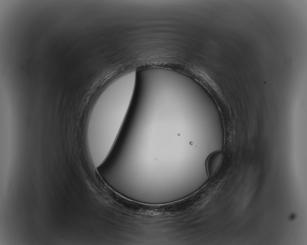 X0000086020635200703230933
