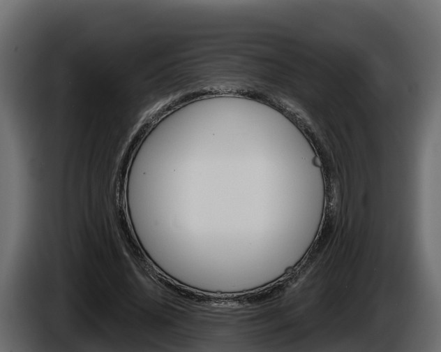 X0000086020636200703230933