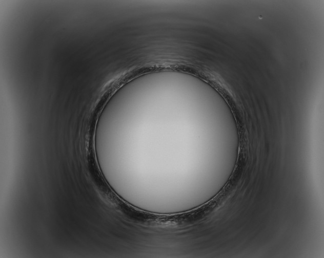 X0000086020640200703230933