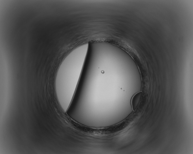 X0000086020641200703230933