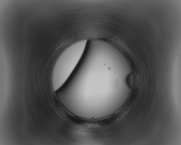 X0000086020644200703230933