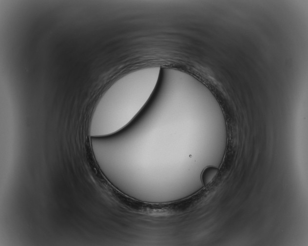 X0000086020645200703230933