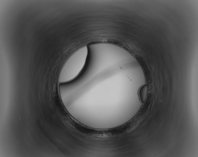 X0000086020646200703230933