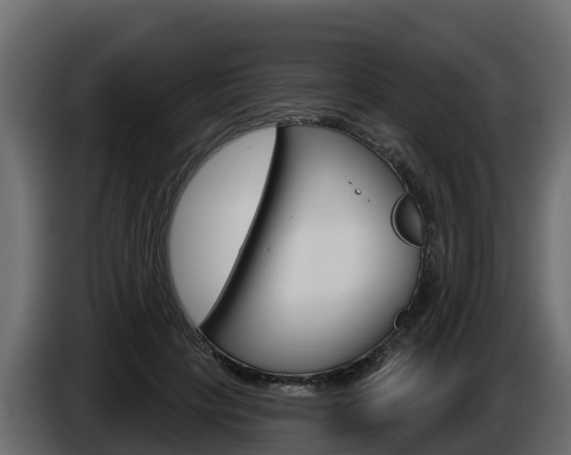 X0000086020649200703230934