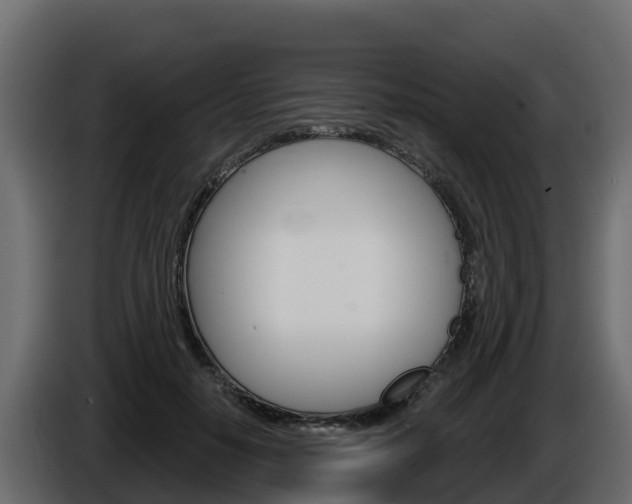 X0000086020650200703230934