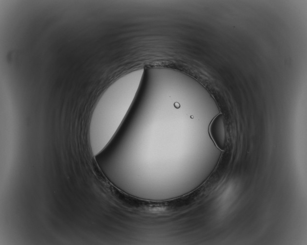 X0000086020651200703230934