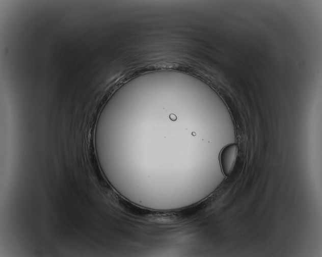 X0000086020652200703230934