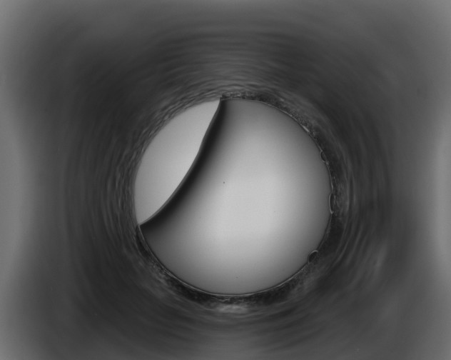 X0000086020653200703230934