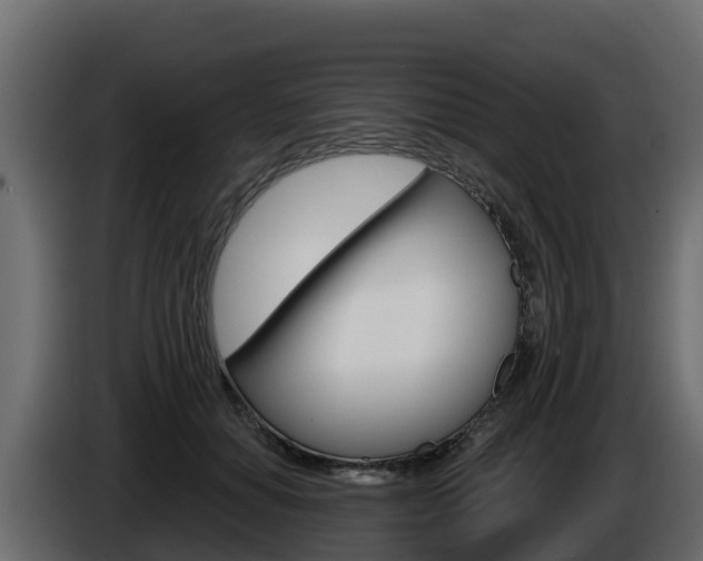 X0000086020654200703230934