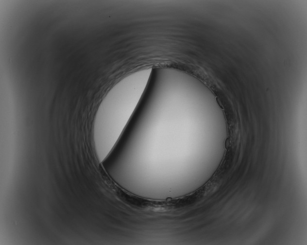 X0000086020655200703230934