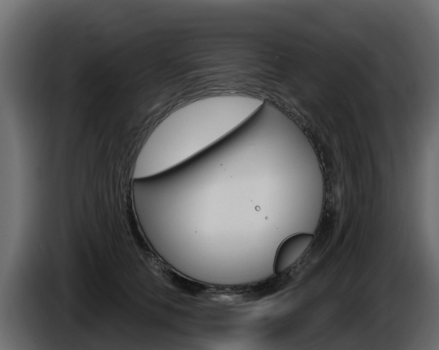 X0000086020658200703230934