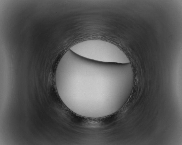X0000086020659200703230934