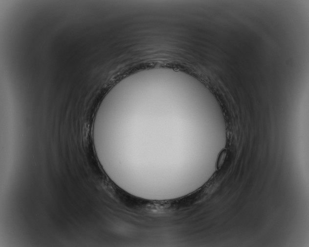 X0000086020660200703230934