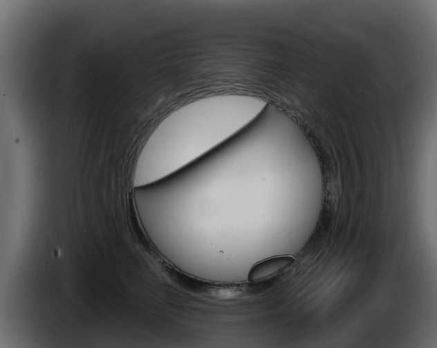 X0000086020662200703230934