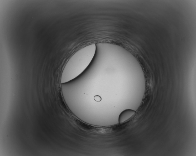 X0000086020663200703230934