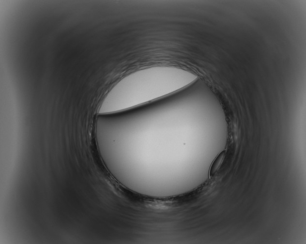 X0000086020664200703230934