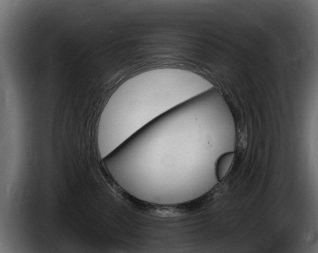 X0000086020666200703230934