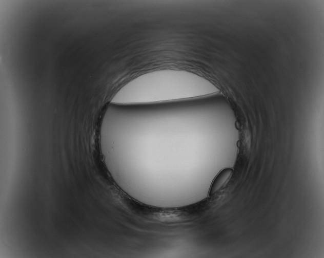 X0000086020668200703230934