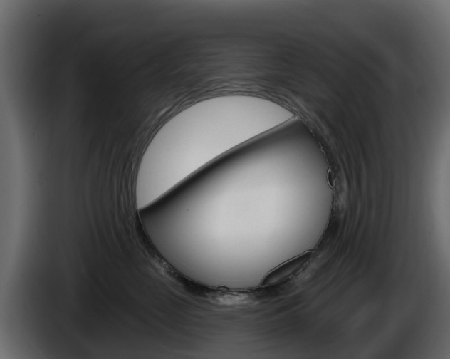 X0000086020669200703230934
