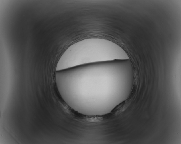 X0000086020670200703230934