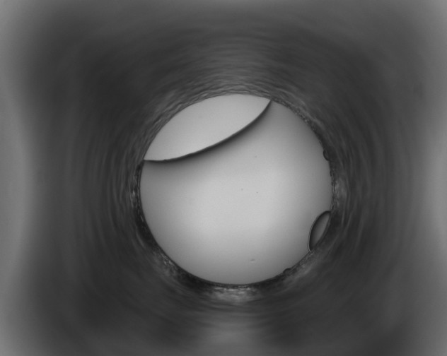 X0000086020671200703230934