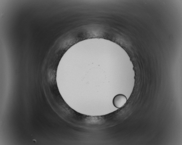 X0000086020672200703230934