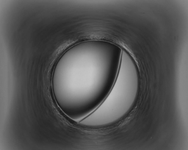 X0000086020673200703230933