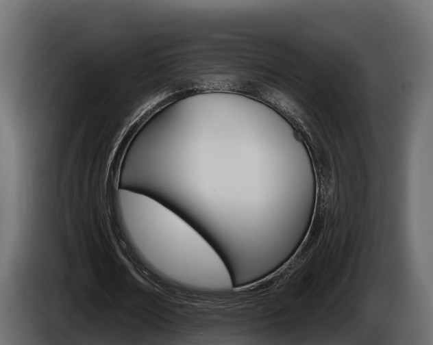 X0000086020674200703230933