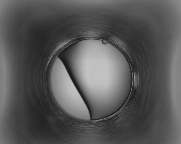 X0000086020675200703230933