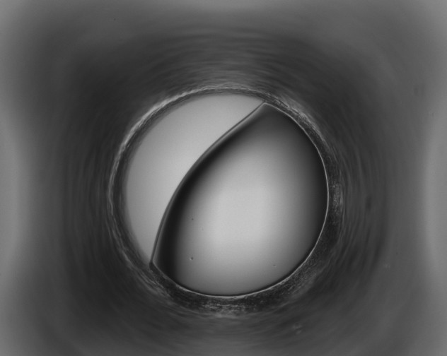 X0000086020676200703230933